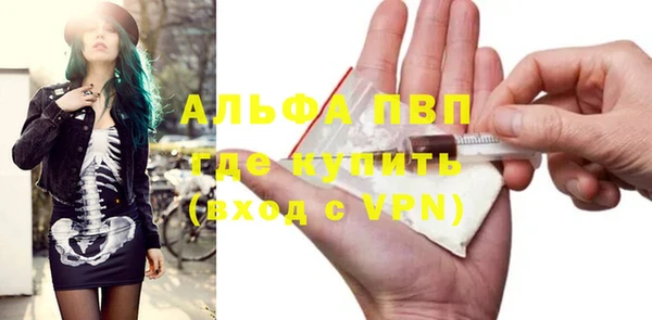 спиды Бородино