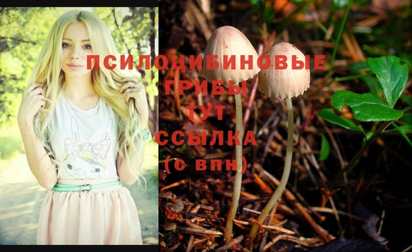 спиды Бородино