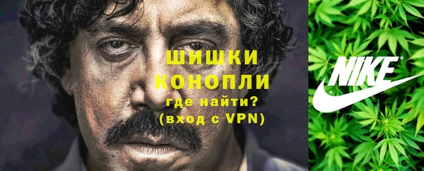 спиды Бородино
