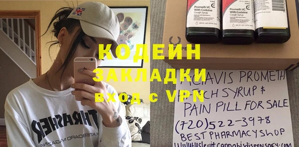 спиды Бородино
