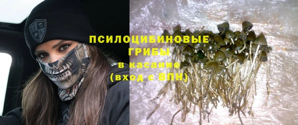 спиды Бородино