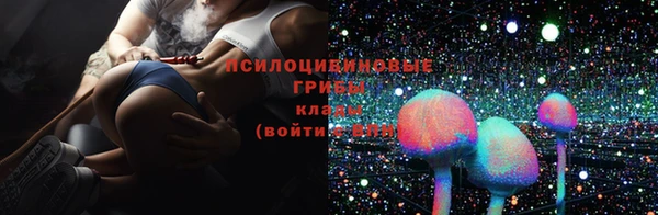 дурь Бугульма