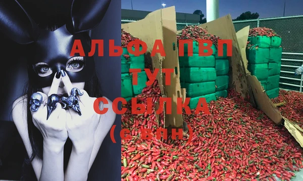 спиды Бородино